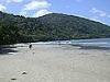 Cape Tribulation, Daintree